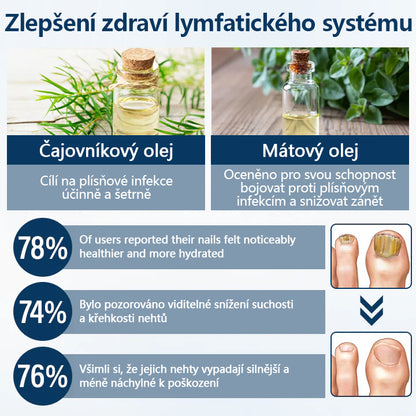 🔥🔥🔥🔥Bylinný sprej proti plísním Timilk® OnyxiGuard